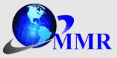 Maximize Market Research Pvt ltd logo