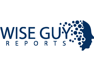 Wise Guy Reports logo